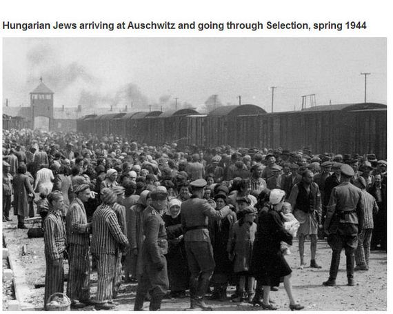 collected_from_history