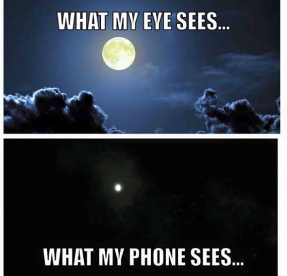 completely_agree