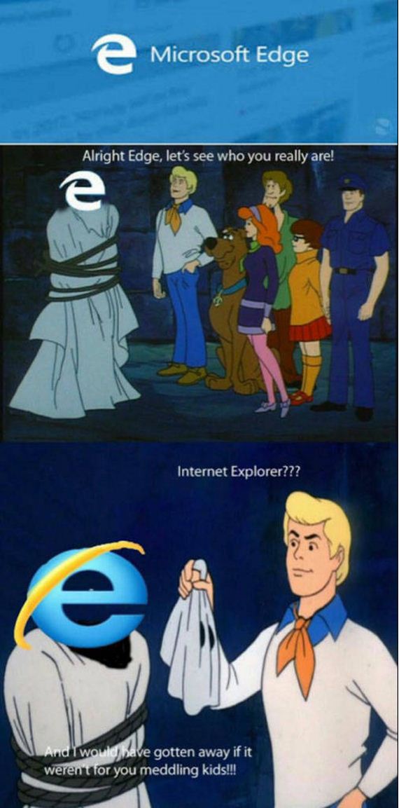completely_agree