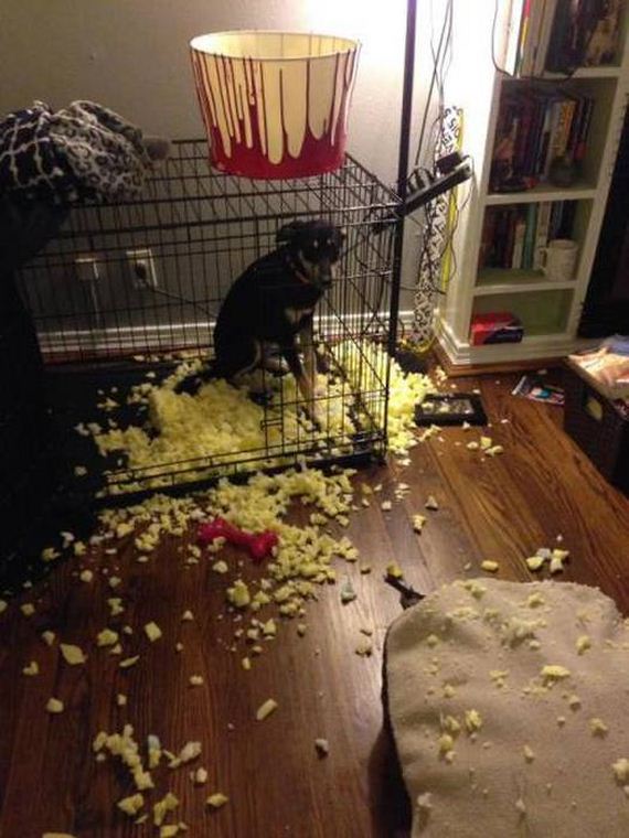 completely_haywire