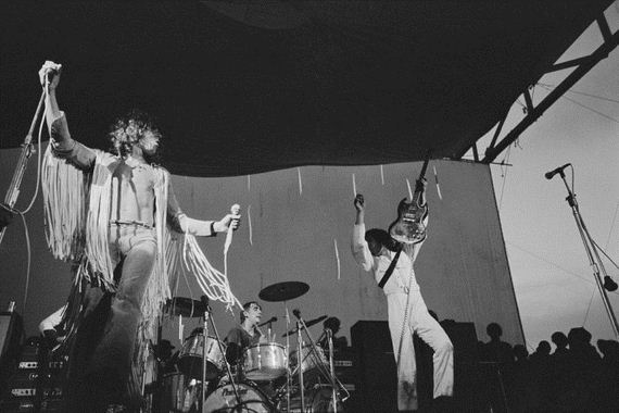 crazy_woodstock