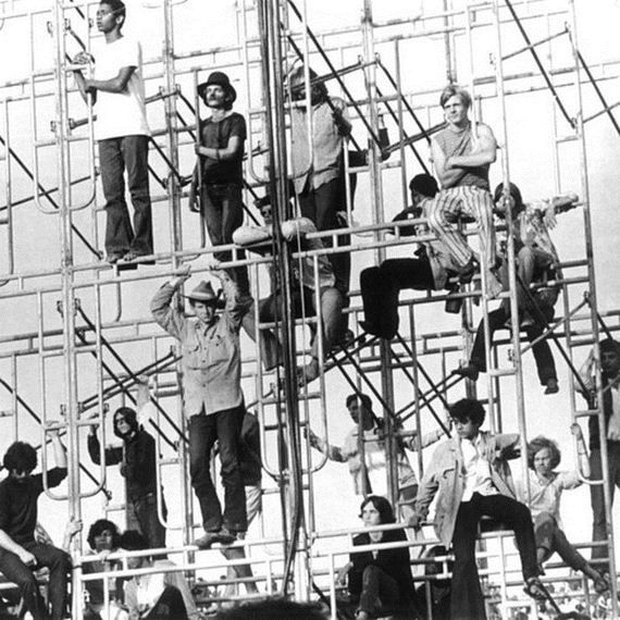 crazy_woodstock
