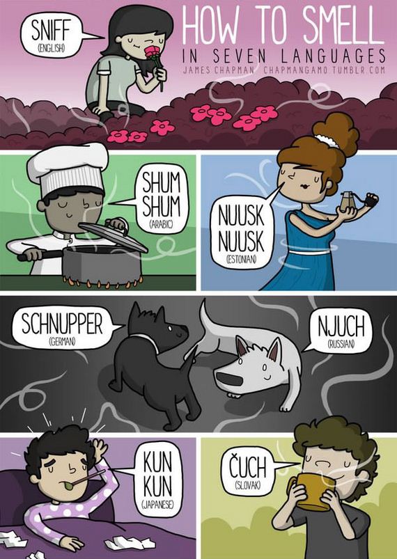 different_languages