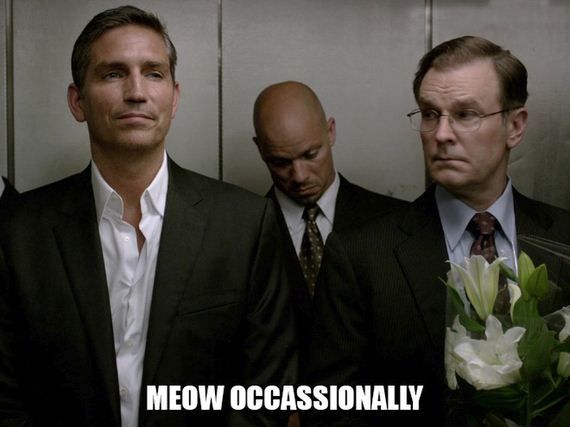 elevator