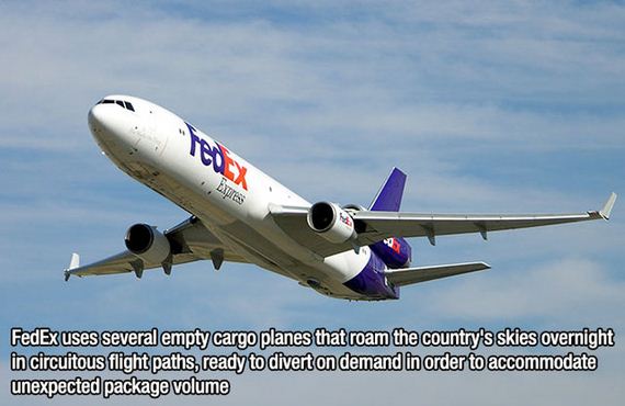 fascinating_facts-7