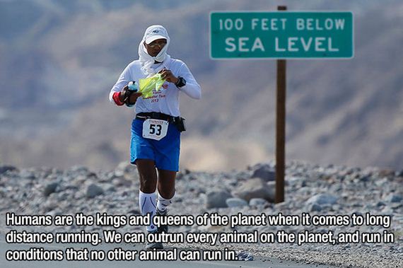 fascinating_facts-7