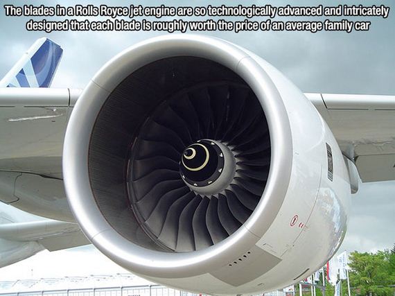 fascinating_facts-7