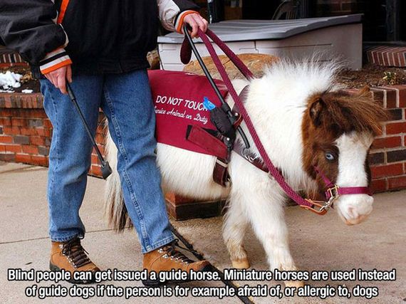 fascinating_facts-7