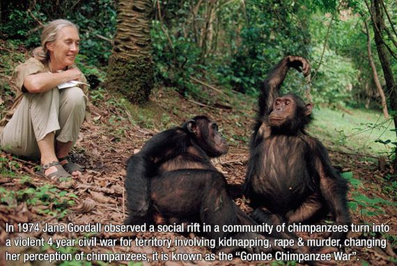 fascinating_facts