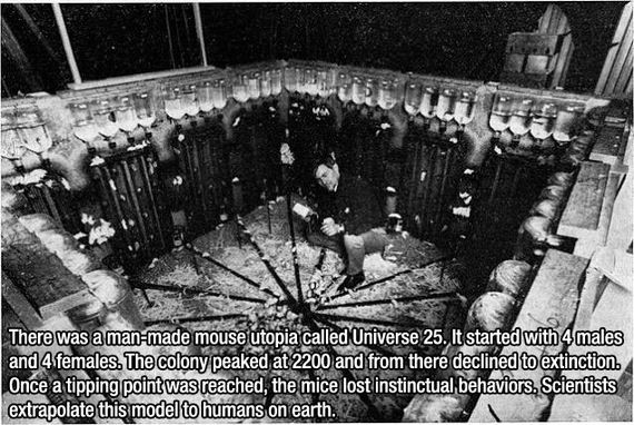 fascinating_facts2