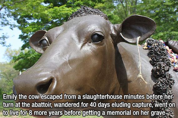 fascinating_facts3