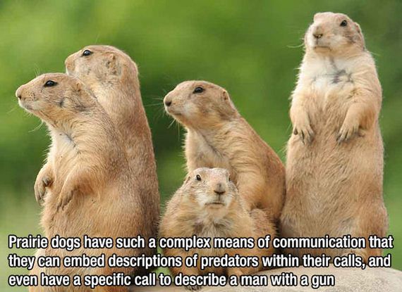 fascinating_facts3