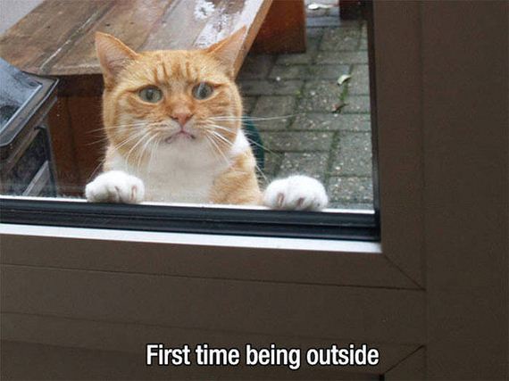 first_time_moments