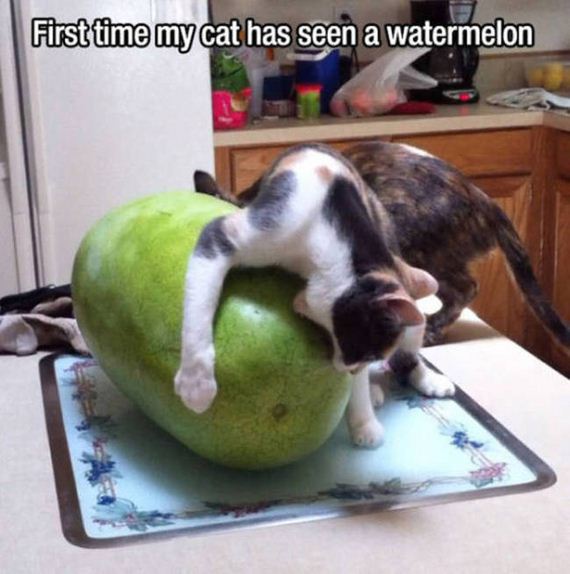 first_time_moments
