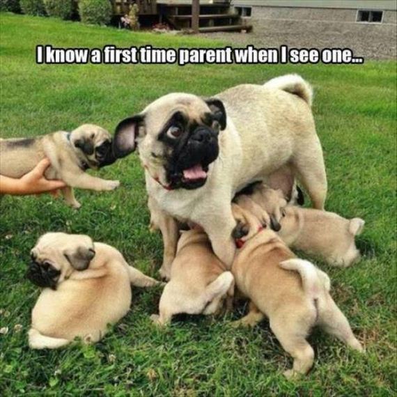 first_time_moments