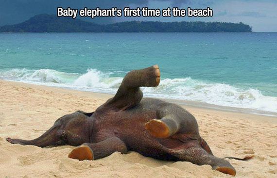 first_time_moments