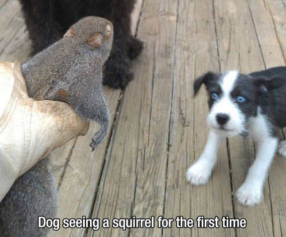 first_time_moments