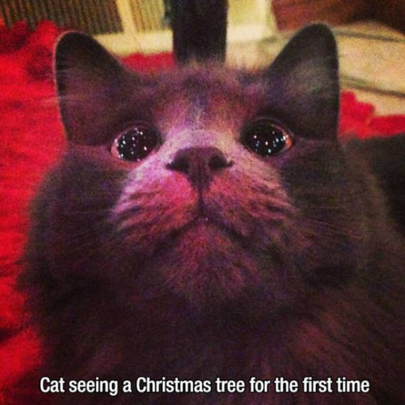 first_time_moments