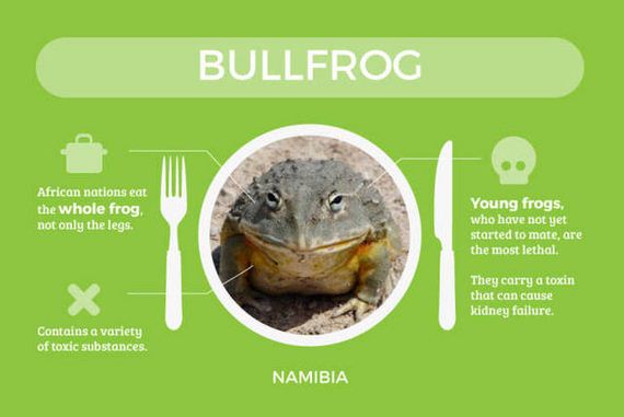 foods_that_are_actually_deadly