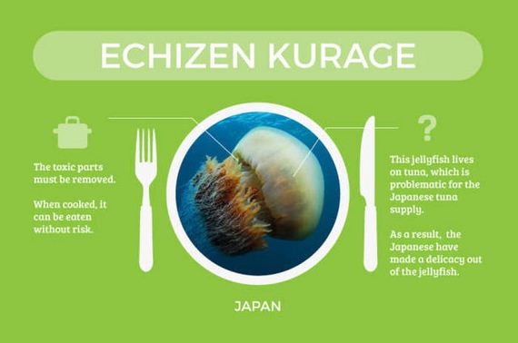 foods_that_are_actually_deadly