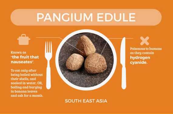 foods_that_are_actually_deadly