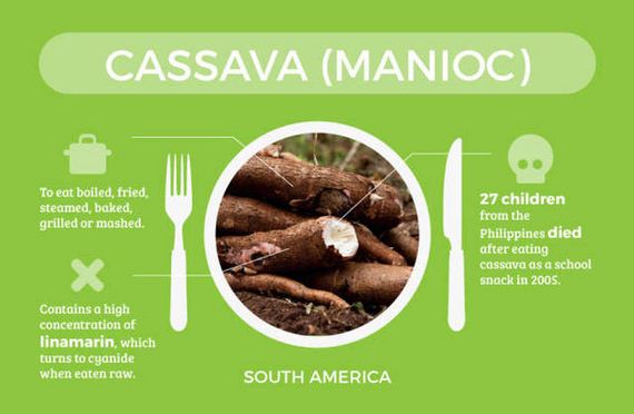 foods_that_are_actually_deadly