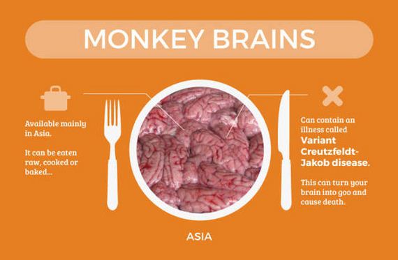 foods_that_are_actually_deadly