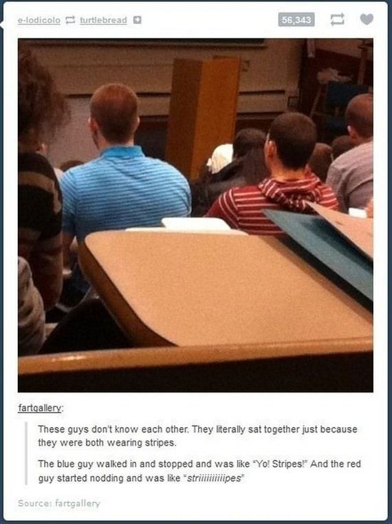 funniest_tumblr