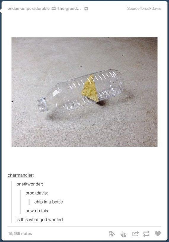 funniest_tumblr