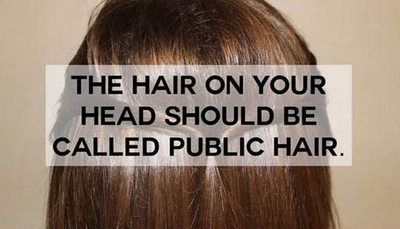 funny-names-everyday-things-hair