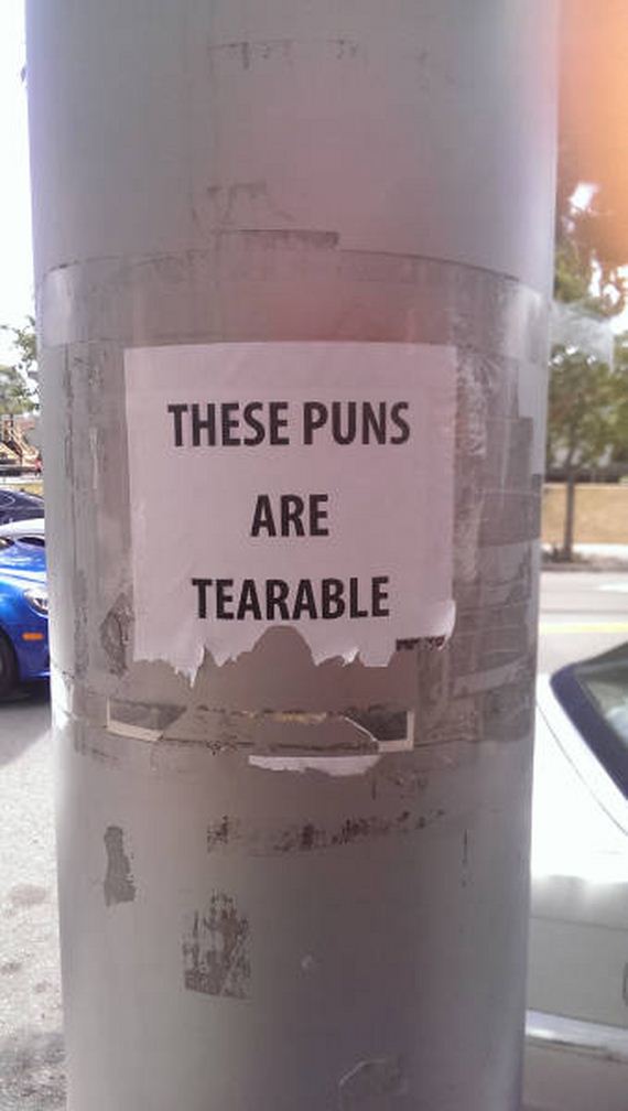 funny-pictures-1000