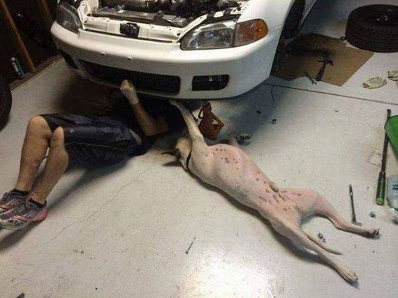 funny-pictures-1001
