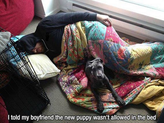 funny-pictures-1001