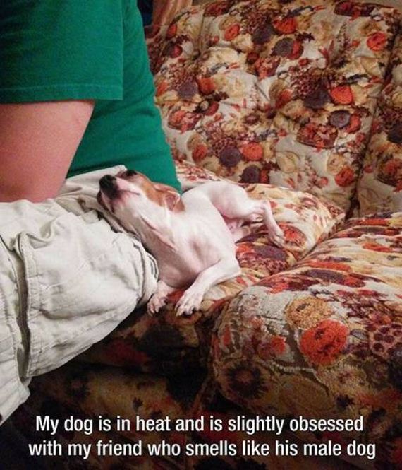 funny-pictures-1001