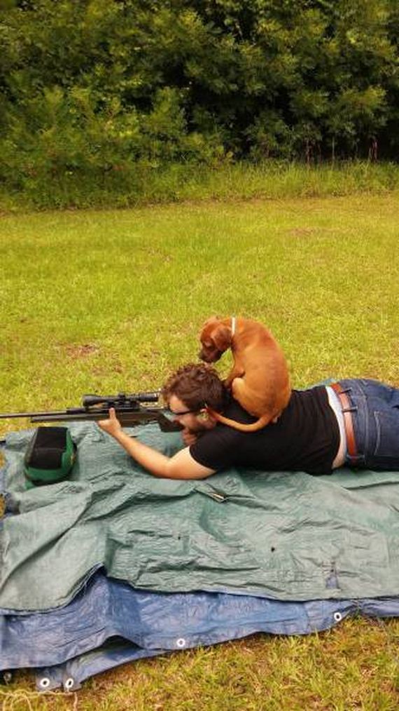 funny-pictures-1002