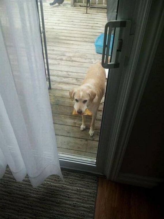 funny-pictures-1002