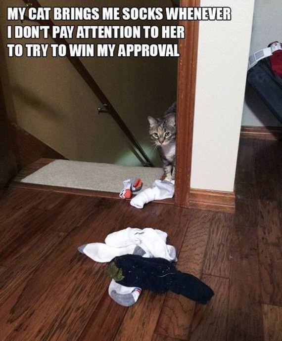 funny-pictures-1006