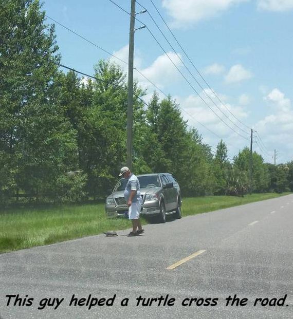 funny-pictures-1006