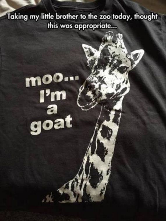 funny-pictures-1007