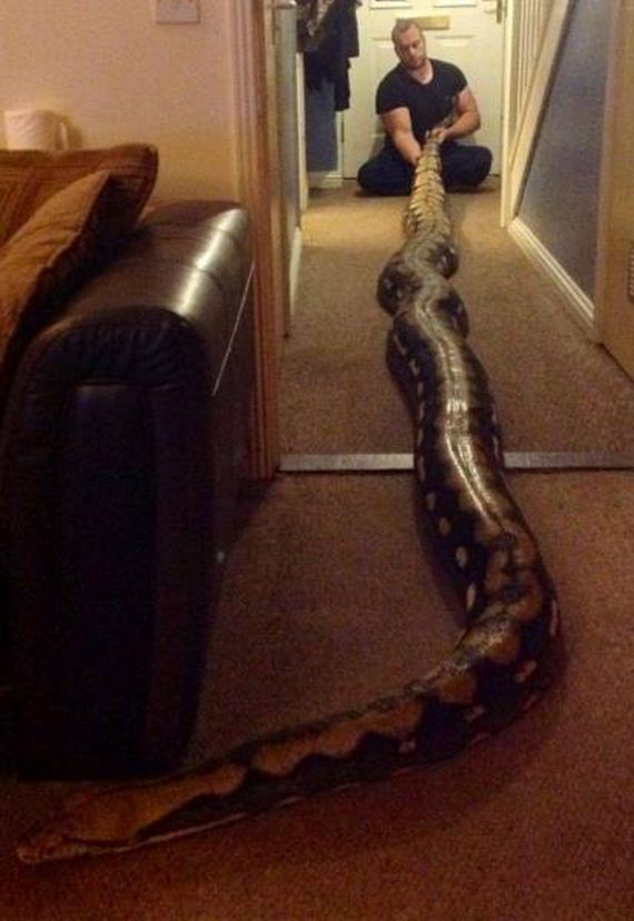 funny-pictures-1007