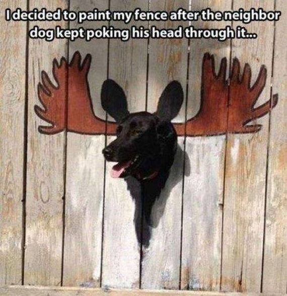 funny-pictures-1007