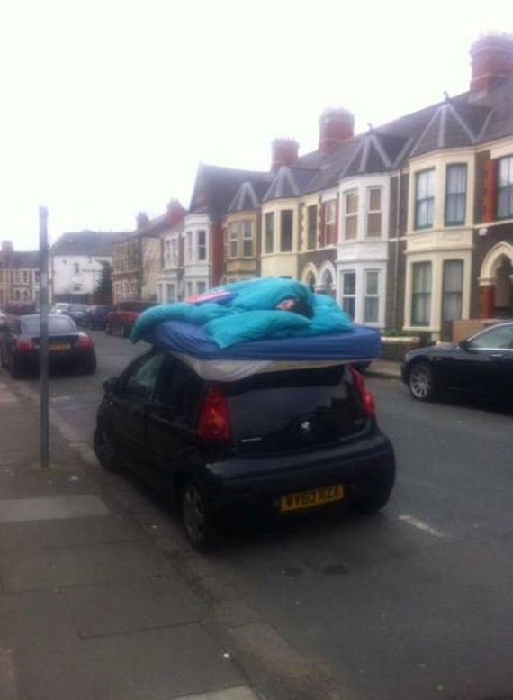 funny-pictures-1008