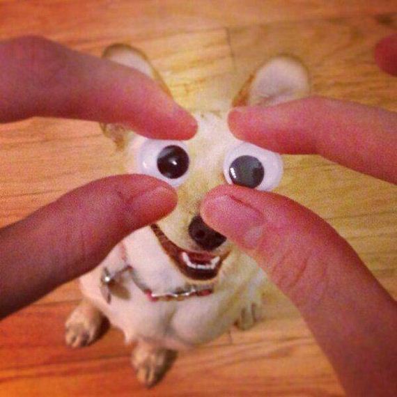 funny-pictures-1008