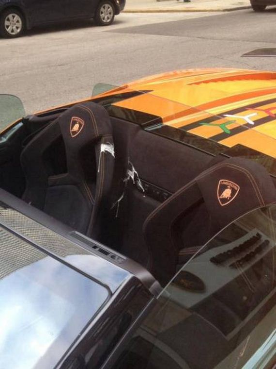 funny-pictures-1008