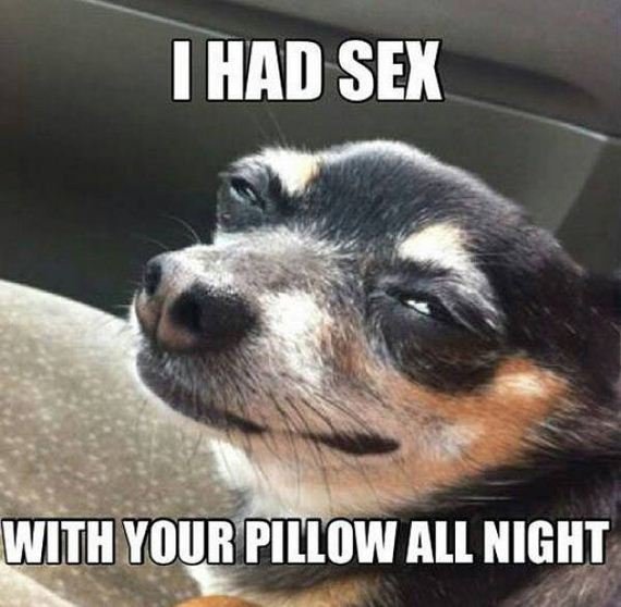 funny-pictures-1008