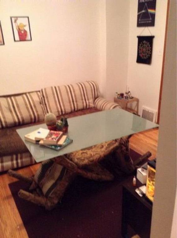 funny-pictures-1009