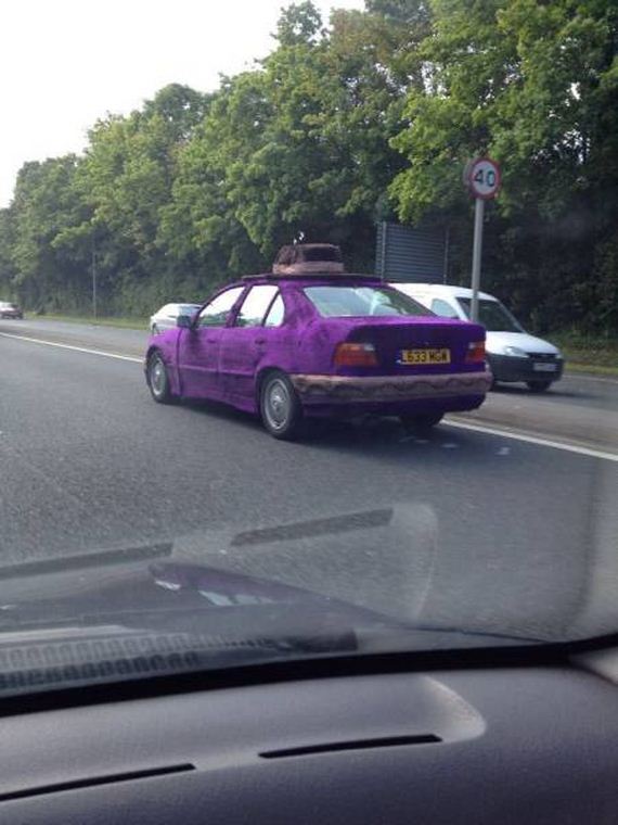 funny-pictures-1009