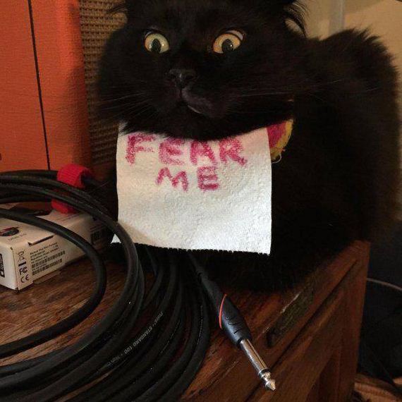 funny-pictures-1009