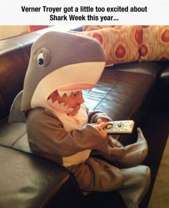 funny-pictures-1009