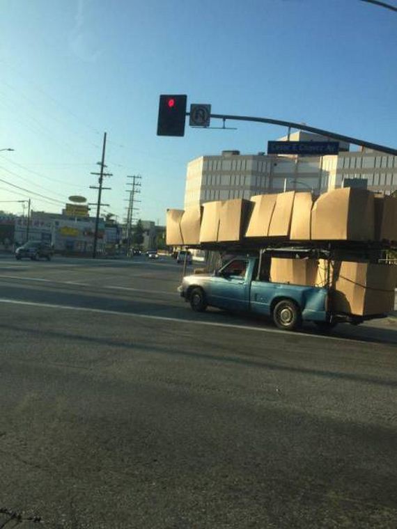 funny-pictures-1011